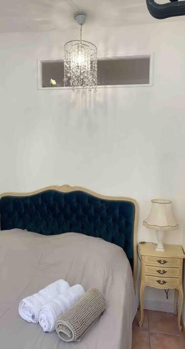 Magnifique Appartement Plein Coeur Avignon Intra-Muros المظهر الخارجي الصورة